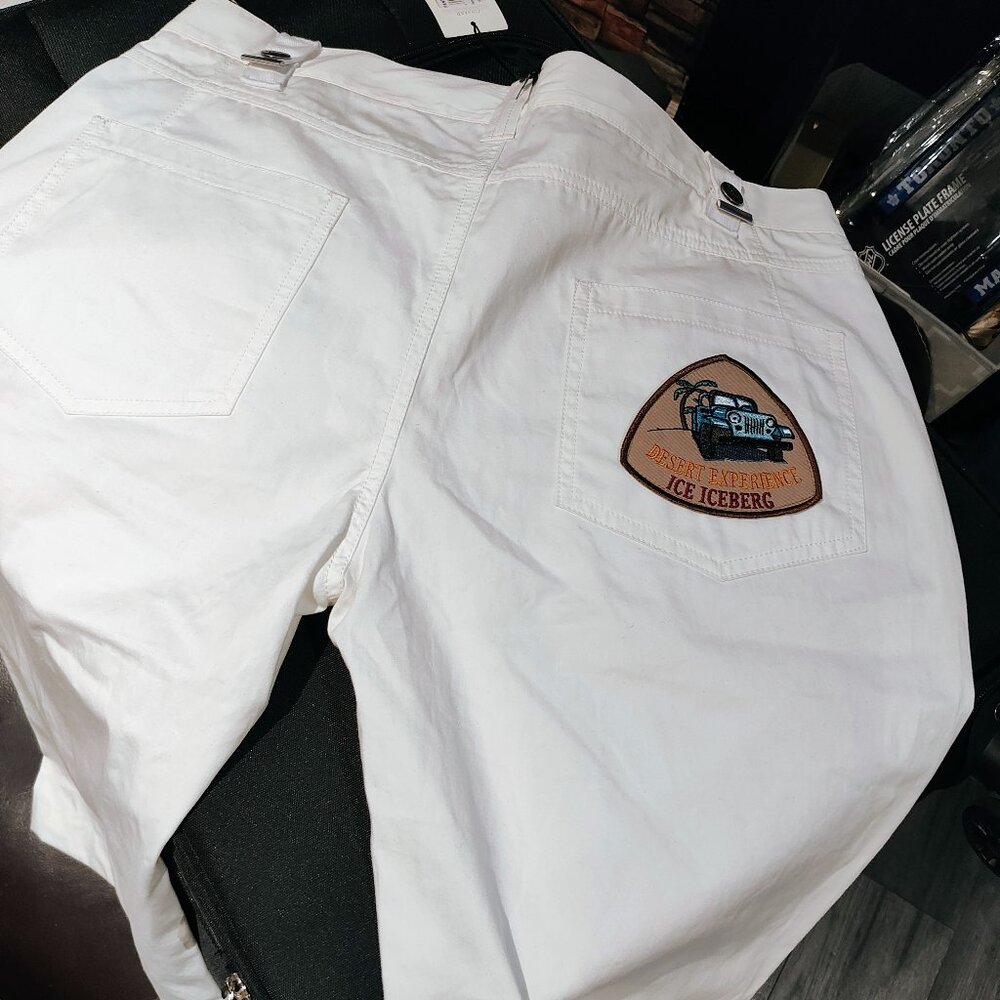Iceberg short 34